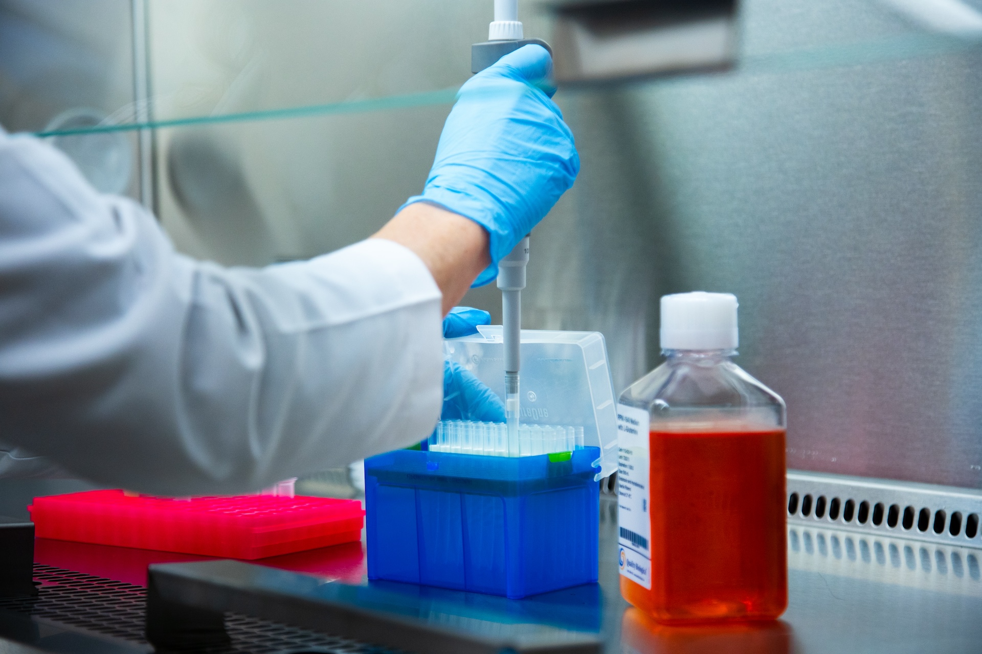 Trusting Her Gut: Groër’s Gift, Mentorship Support New Era of Research