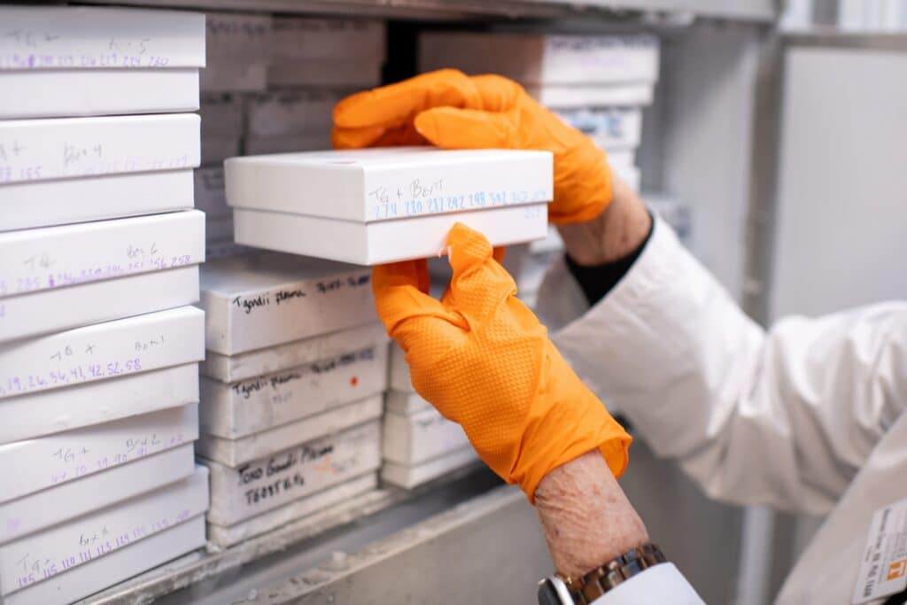 Researcher in orange gloves pulling samples out of a freezer